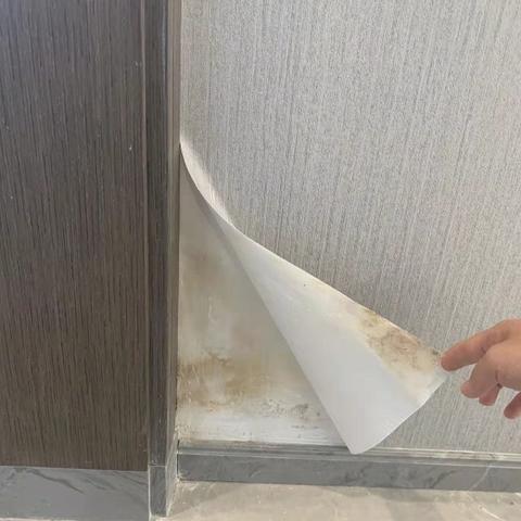 合肥最新交房小区深度解析