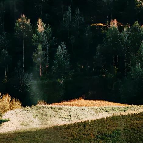 河湟文化独特魅力揭秘，最新视频365展现风采