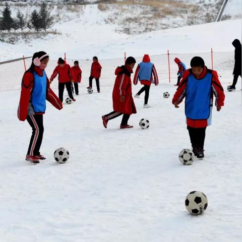 吉林庄严最新职务解析