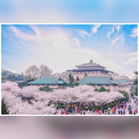 最新观影神器，宅樱app37带你探索影视娱乐新世界