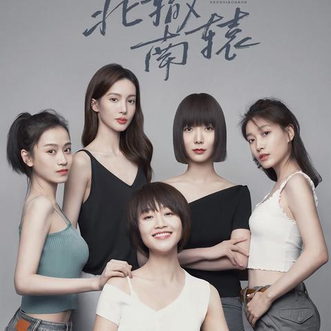 非诚勿扰最新一期深度解析，数字背后的情感故事