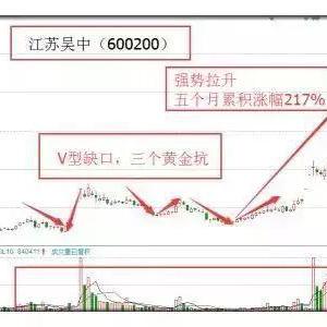 江苏吴中股票最新动态深度解读