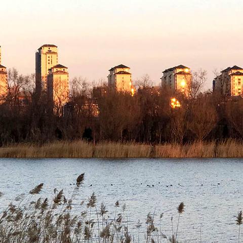 山东省乐陵市最新新闻动态报道速递