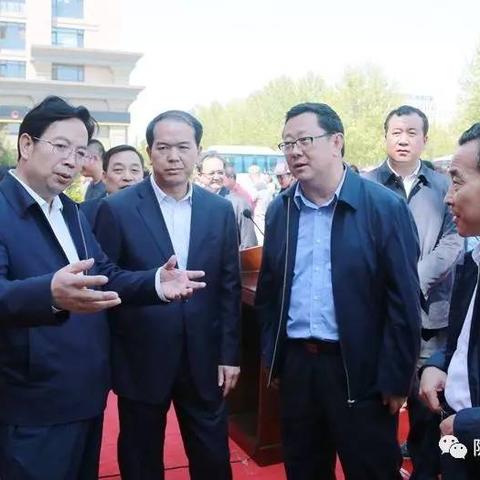 城阳蔬菜最新批发价格解析