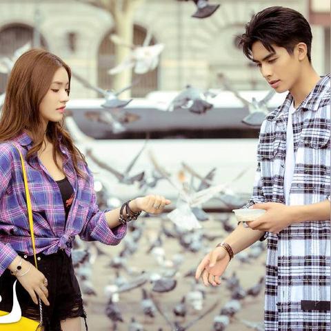 最新高分电视剧推荐，品质与口碑的双重保障