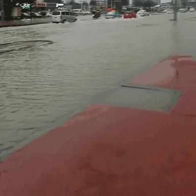 京九高铁线路站点最新详解