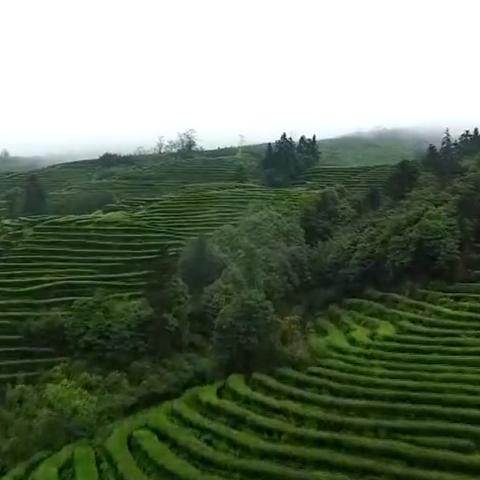 乡村医生待遇最新消息,展望2025年改善待遇展望