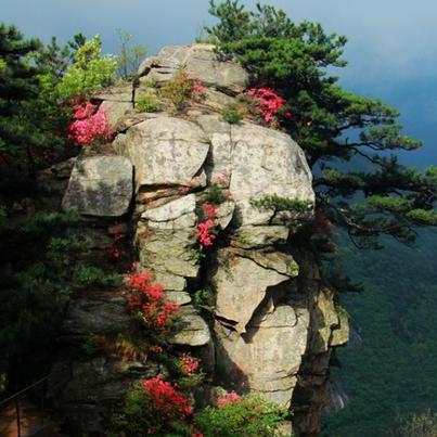 京九高铁固始段建设进展及未来展望最新消息