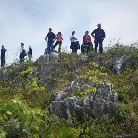 安阳东方明珠最新动态全面解读