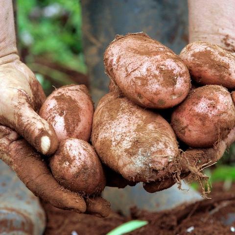 网页游戏平台 第3页