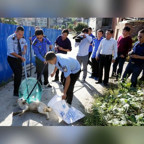 中央最新政策二十二条深度解读