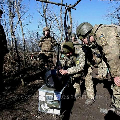 志愿兵最新动态全面报道